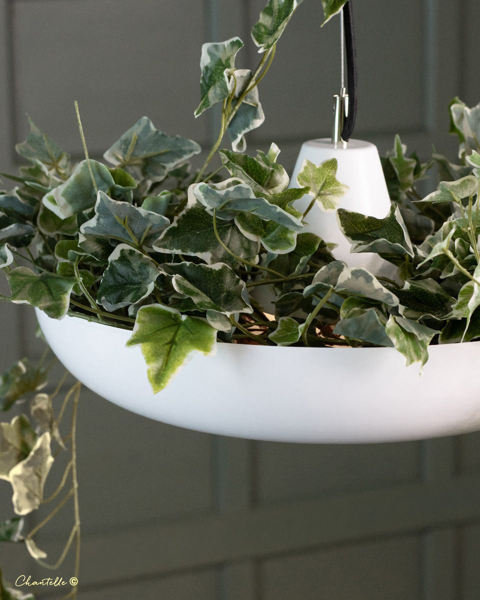 white acrylic ring pendant with decorative leaves