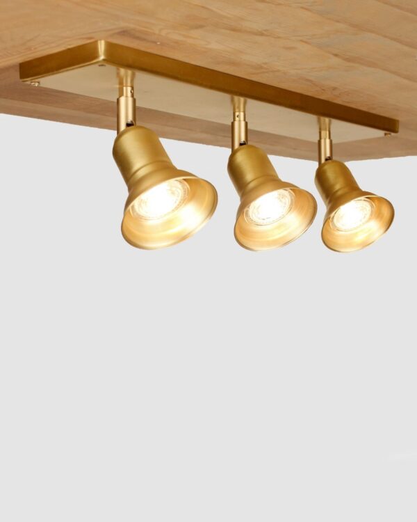 Triple brushed brass directional spotlights - 051220