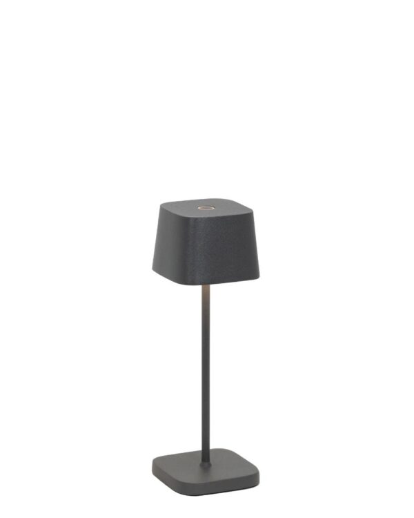 Ofelia Micro Table Lamp in Dark Grey - Battery Powered
